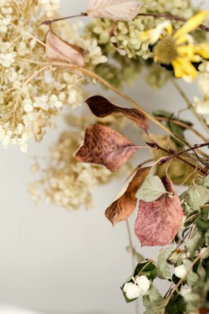 Dried flowers, educational still life for drawing