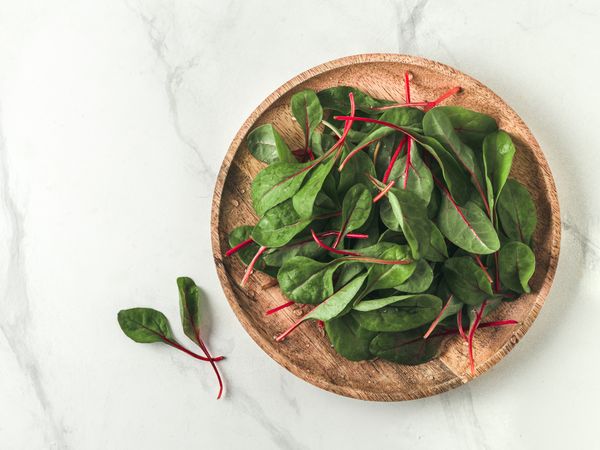 Fresh salad of green chard leaves or mangold