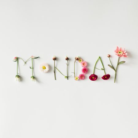 Word "MONDAY" made of flowers on bright background