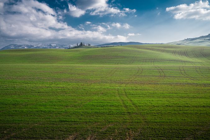 Wonderful empty green fields