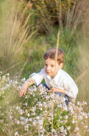 Happy cute kid picking flowers in a field