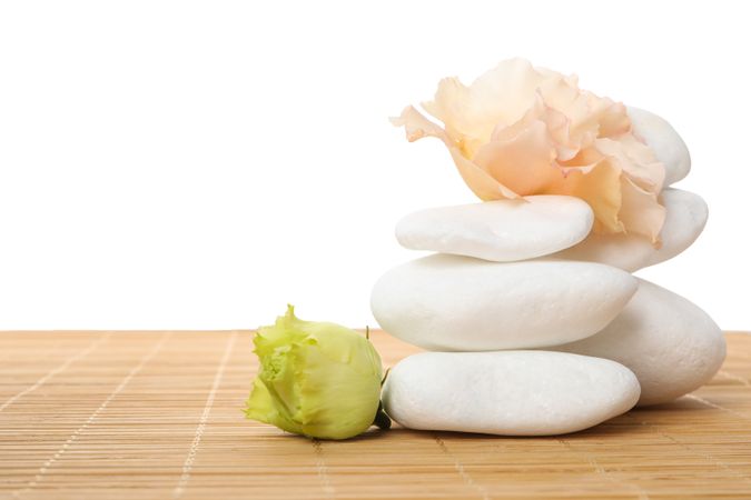 Stones and flowers, isolated on plain background