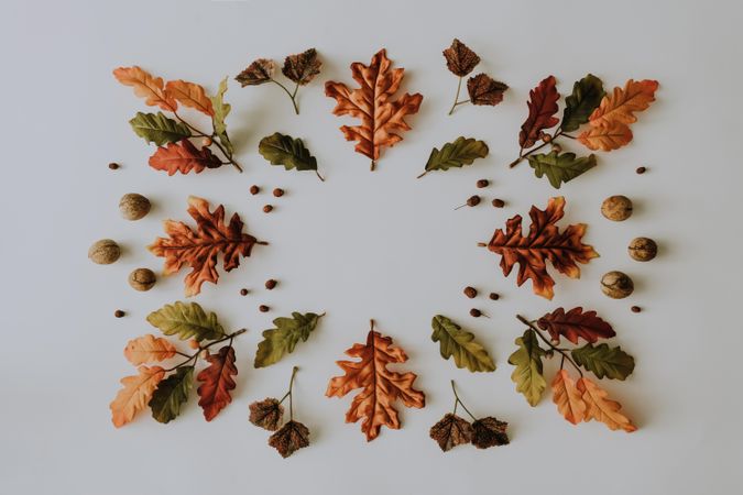 Symmetrical lay out of autumnal leaves on light background