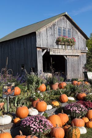 Array of pumpkins and other fall specialties at Hudak's produce farm near St. Albans, Vermont