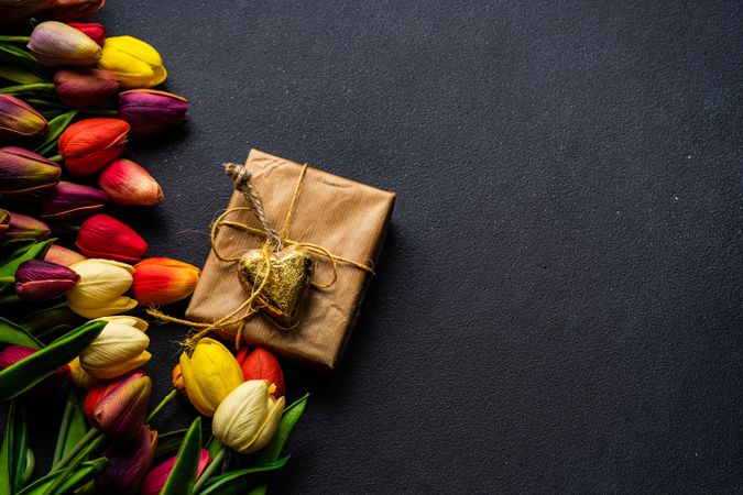 Fresh tulips and brown wrapped present on dark table with copy space