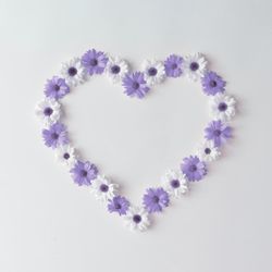 Heart shape made of daisies