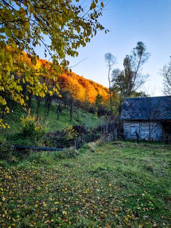 Hut in Romanian countryside