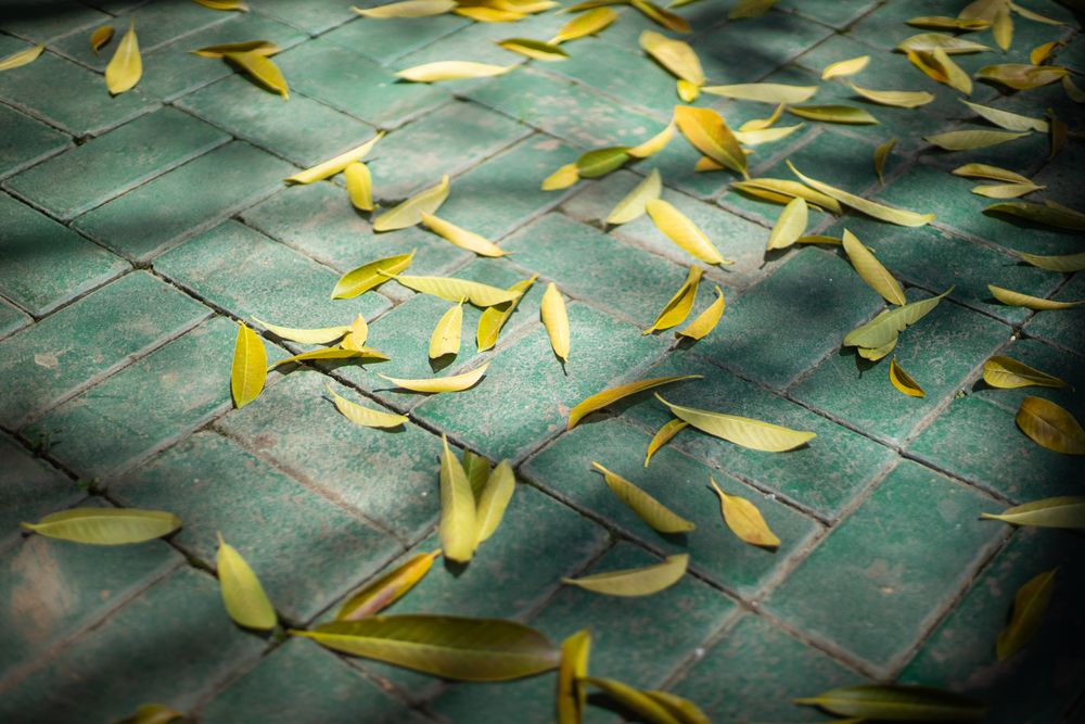 Green brick tile floor background with leave