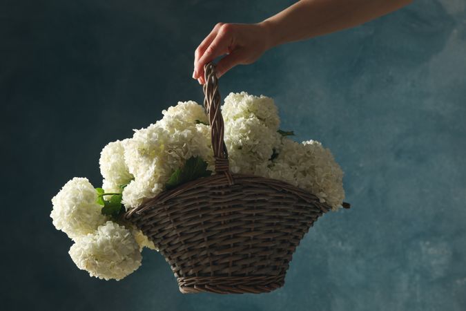 Female hand hold wicker basket with hydrangea flowers