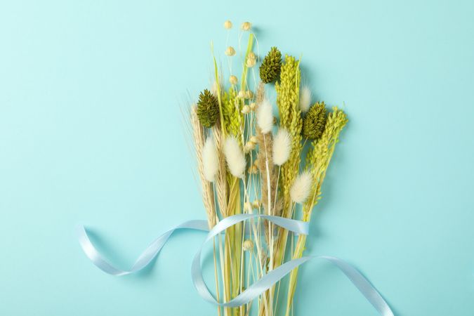 Dried flower variety with ribbon in line on blue background