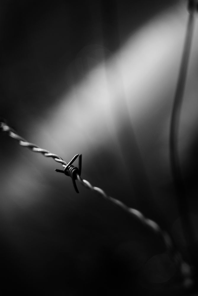 Tense barbed wire