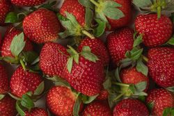 A fresh, ripe strawberry captured in detail