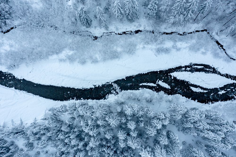 Drone image with snowy forest and river in the Bavarian Alps, Germany.