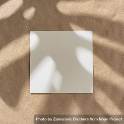 Sand with palm leaf shadows and central square bGAvA5