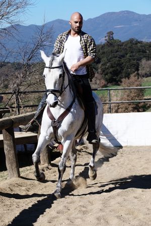 Man in checkered shirt riding horse on sandy ground