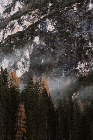 Big mountains near pine forest on cloudy weather
