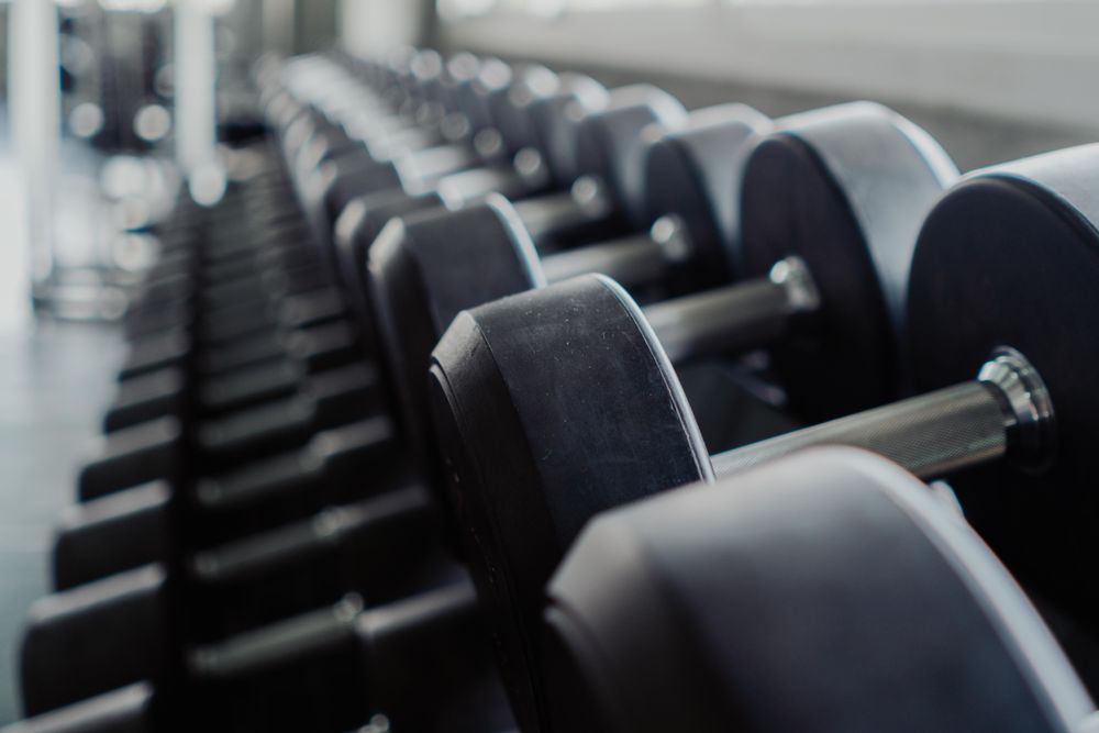 Row of dumbbells in the gym