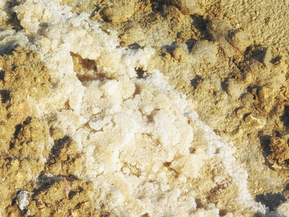 salt