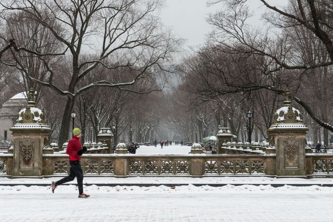 Person jogging in the snow, Central Park, New York City, New York