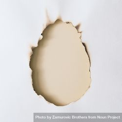 Canvas or paper burnt in egg shape 0VgXO5