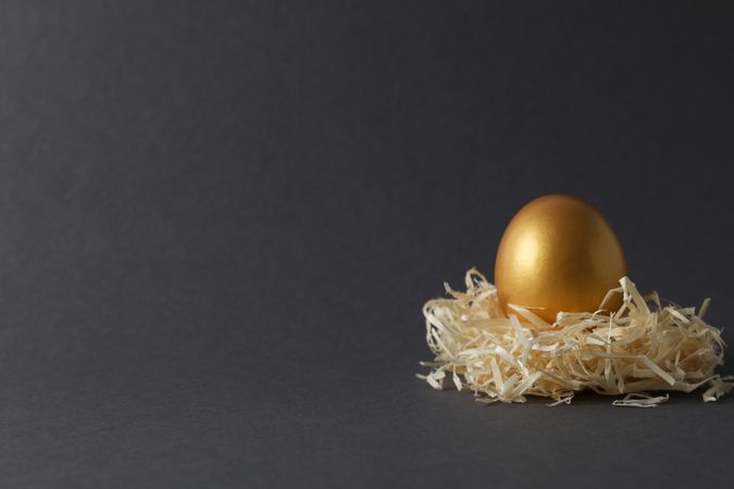 Concept of Richness, golden eggs, space for text