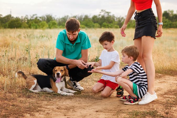 Young family walk and training dog in rural settings in summer day