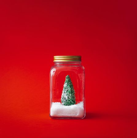 Christmas tree with snow in a glass jar