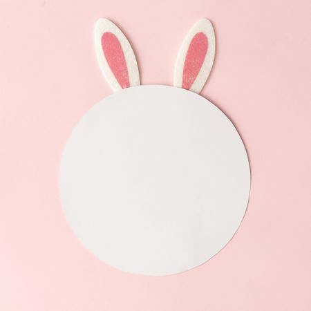 Bunny rabbit ears on pastel pink background