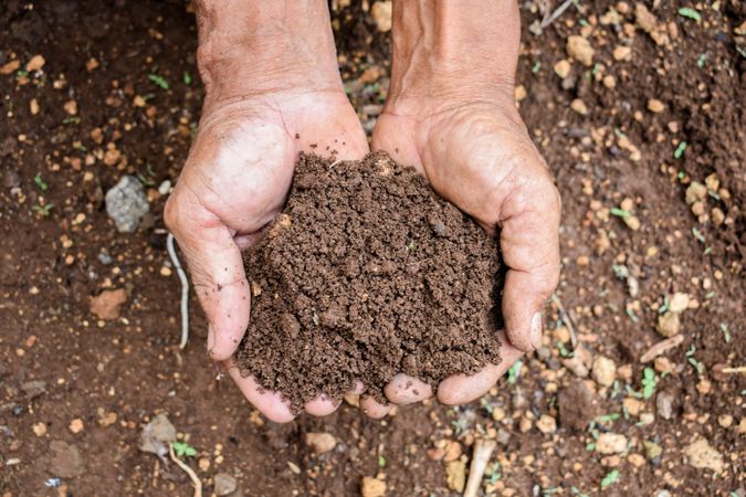 Hands holding soil