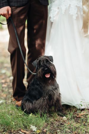 Bride and groom with dog outdoor