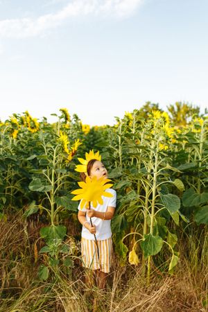 Cute child in blooming sunflower field