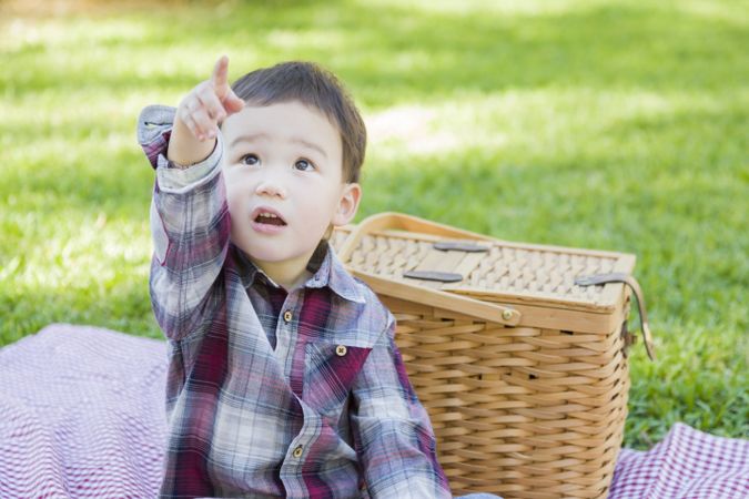 Boy Sitting in Park Near Picnic Basket
