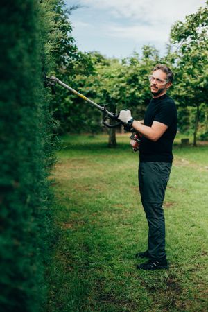 Man pruning arizonica hedge