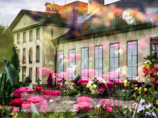 Blooming Orangerie park in Strasbourg. Magnolias, tulips, roses. Double exposure. Postcard.