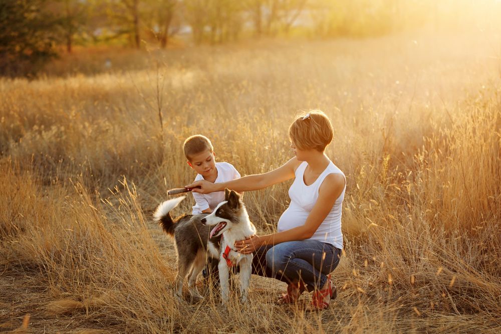 Female and male child grooming husky in nature