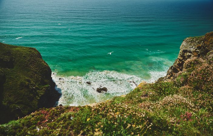 Seagulls flying over waves in the blue sea