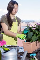 Young woman wearing a gardener apron and potting plants on patio