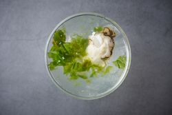 Refreshing martini cocktail with fresh oysters