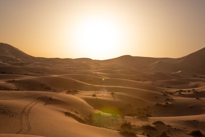 Shadow of camel caravan on sand dune