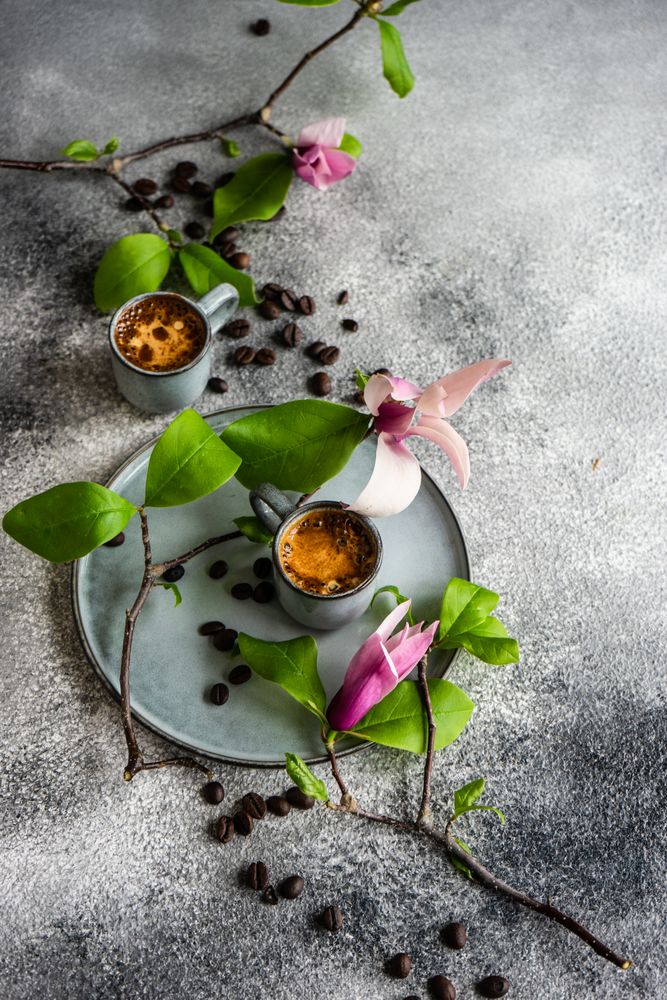 Coffee and magnolia flowers
