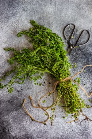 Cooking concept with marjoram herbs wrapped with string on counter