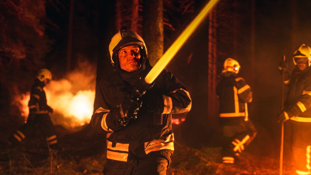 Group of Experienced Firefighters Extinguishing a Wildland Brushfire Deep in the Forest.