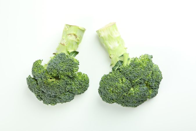 Two stalks of broccoli on bright background