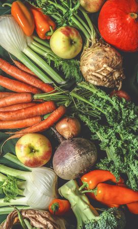 Various harvest vegetables from garden: green beans, pumpkin, apples, broccoli, carrots, kale, fennel, paprika.