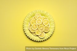 Lemon slices on yellow flower plate 5rEwM0