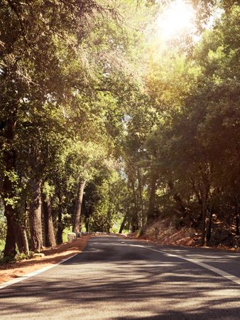 Asphalt road between hills and forest