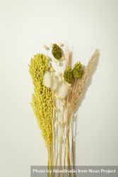 Vertical composition of variety of dried flowers 49ZVBb