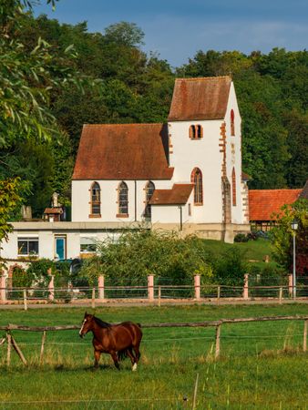 A horse on a green meadow against the  village church.