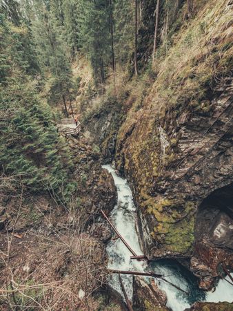 Traveller admiring picturesque view of mountain stream