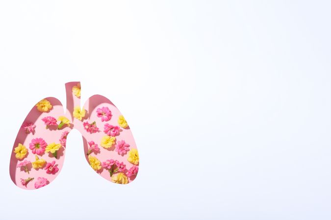 Lung shape cut out of paper with bronchus and pink and yellow flowers underneath with copy space